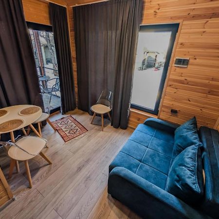 Inga Jafaridze Guesthouse Pele 梅斯蒂亚 外观 照片