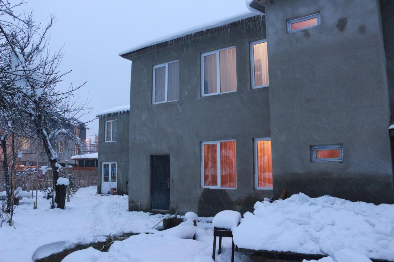 Inga Jafaridze Guesthouse Pele 梅斯蒂亚 外观 照片